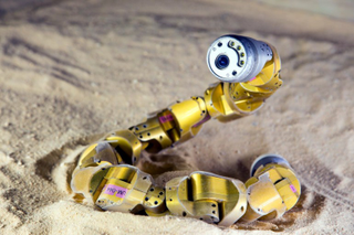 Illustration for article titled The Most Uncanny Robotic Animals That Humankind Has Ever Invented